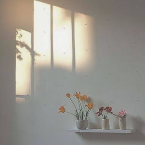 Meet your Posher, Carly